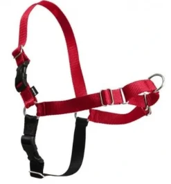 Petsafe Easy Walk Hundesele S Rød - Bryst 21,5-28 cm
