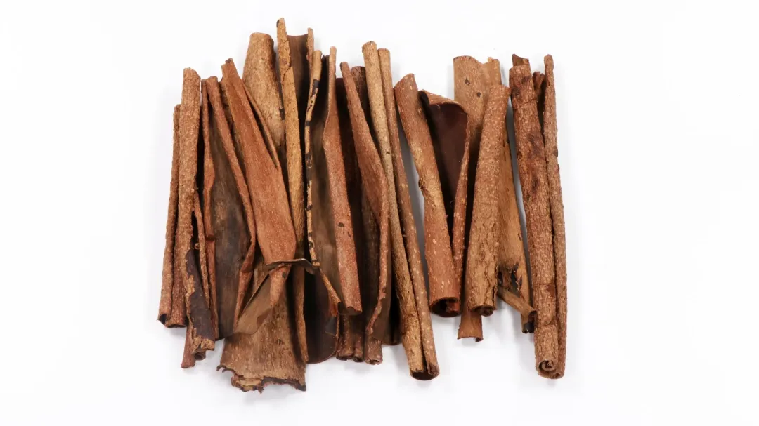 MiniZoo Ebi Gold Cataooa Bark (Terminalia Bark) 17 gram