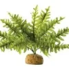 ExoTerra Exo Terra Boston Fern (lille)