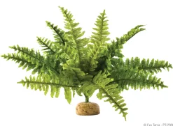 ExoTerra Exo Terra Boston Fern (medium)