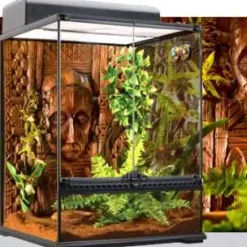 ExoTerra Exo Terra Boston Fern (medium)