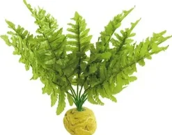 ExoTerra Exo Terra Boston Fern (medium)
