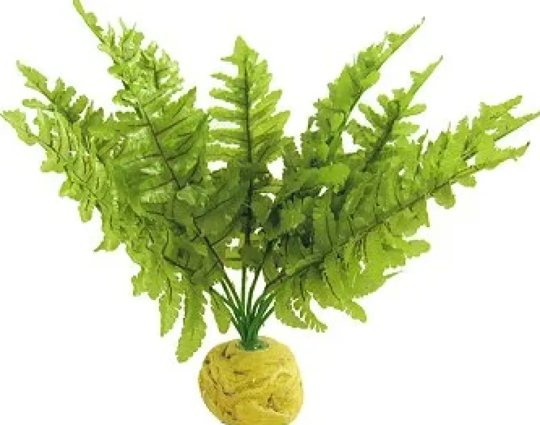 ExoTerra Exo Terra Boston Fern (medium)