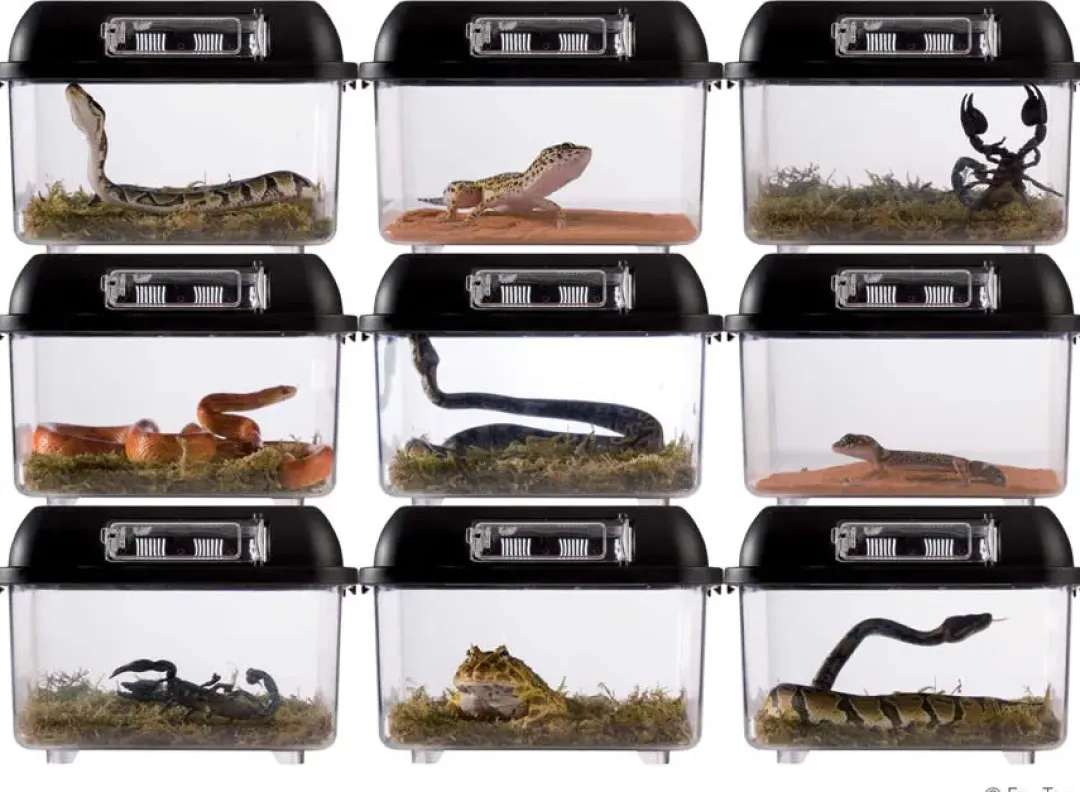 ExoTerra Exo Terra Breeding box (lille)