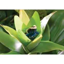 ExoTerra Exo Terra Bromelia Medium