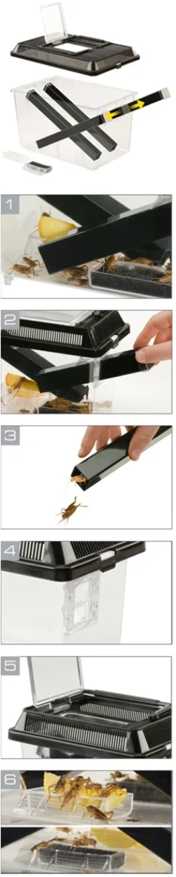 ExoTerra Exo Terra Cricket Pen stor