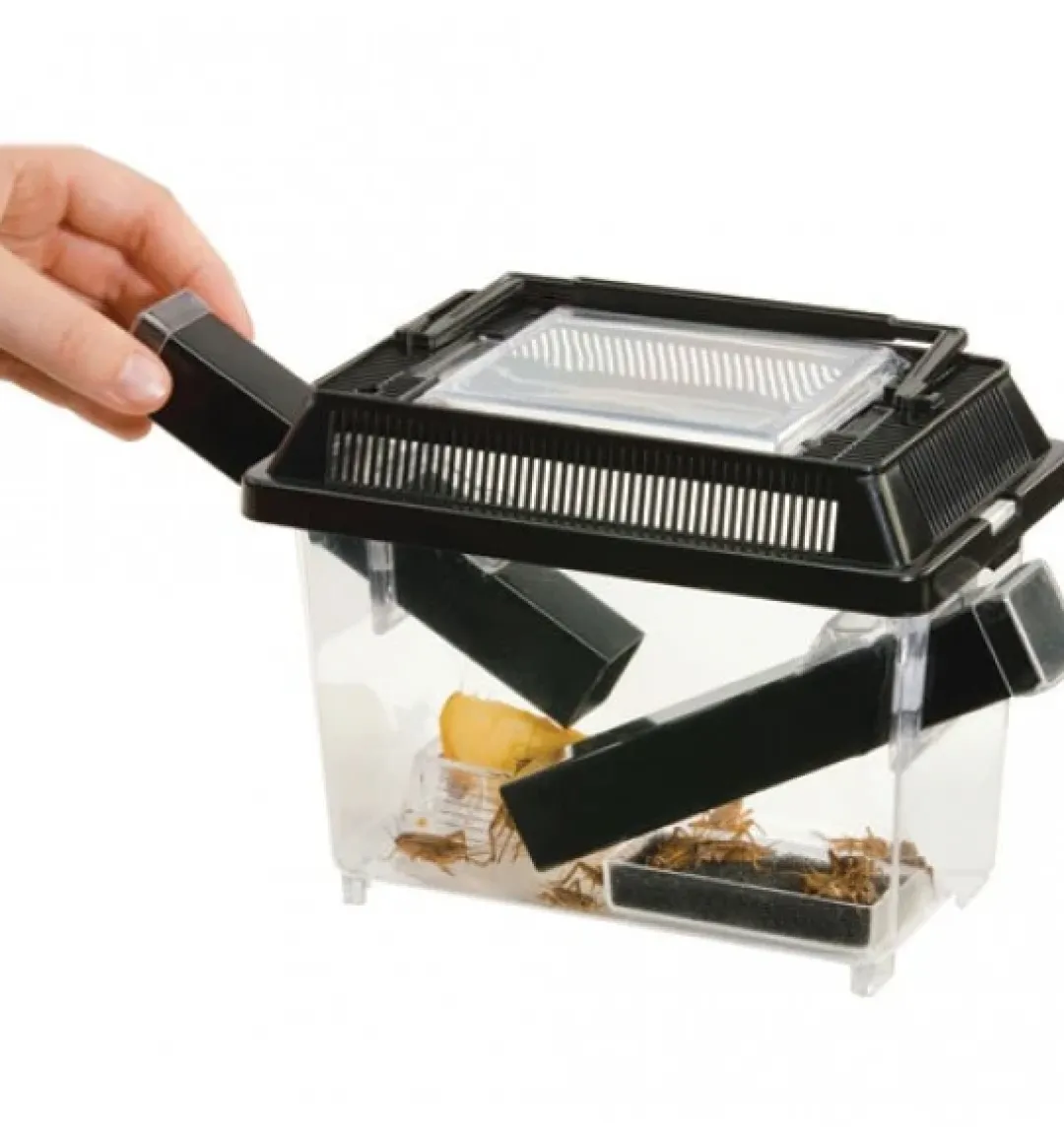 ExoTerra Exo Terra Cricket Pen stor