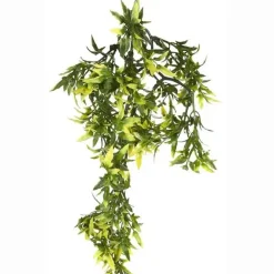 ExoTerra Exo Terra Croton medium