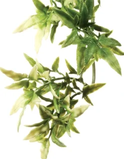 ExoTerra Exo Terra Croton stor