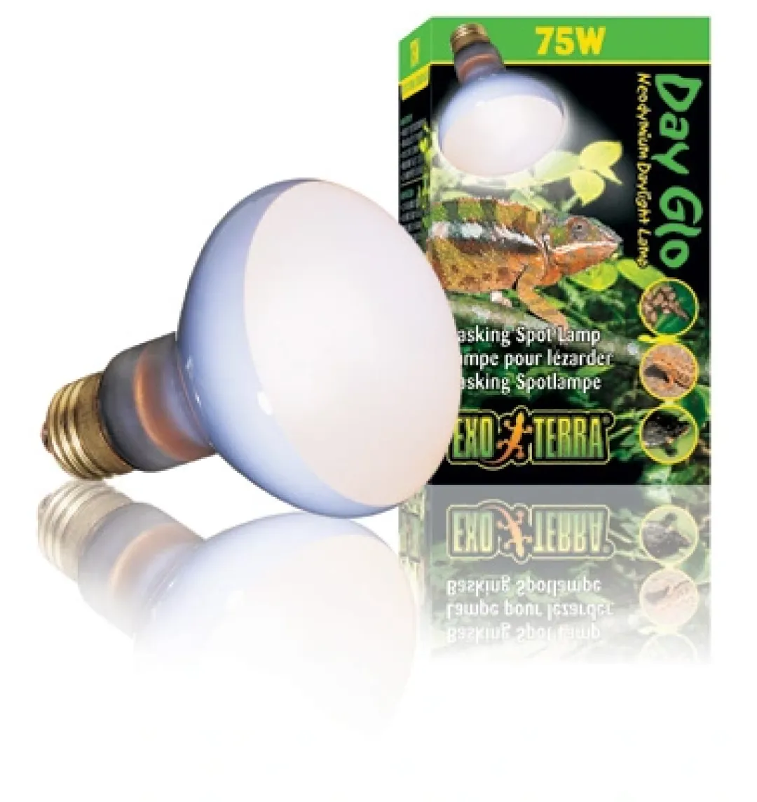 ExoTerra Exo Terra Day Glo Spot 50 w med UVA