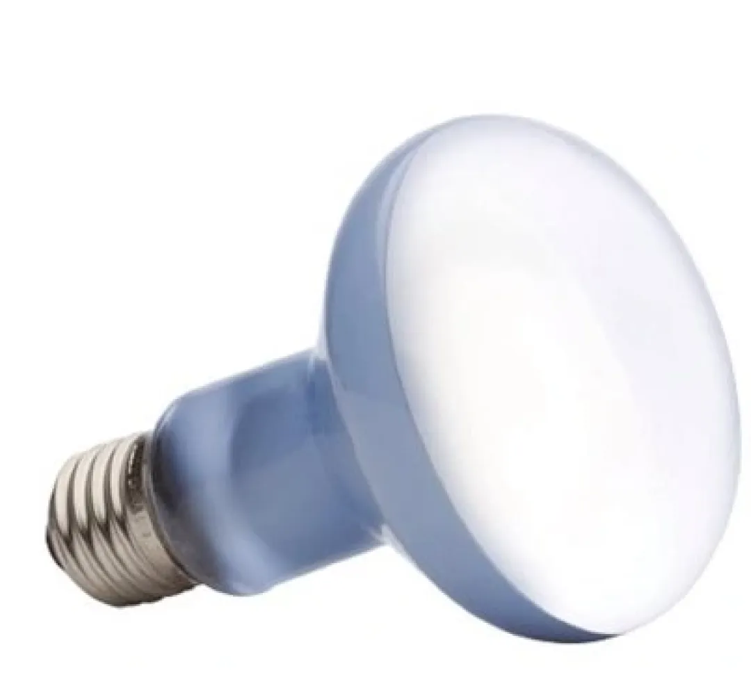 ExoTerra Exo Terra Day Glo Spot 50 w med UVA