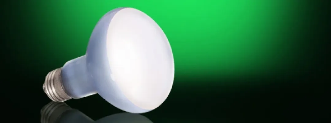 ExoTerra Exo Terra Day Glo Spot 50 w med UVA