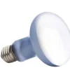ExoTerra Exo Terra Day Glo Spot 75 w med UVA