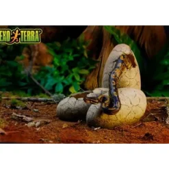 ExoTerra Exo Terra Dinosaur Æg Stor