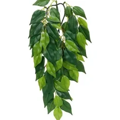 ExoTerra Exo Terra Ficus medium