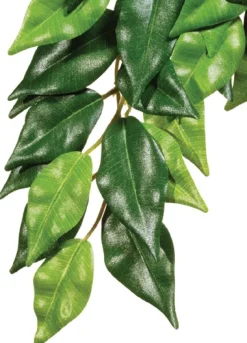 ExoTerra Exo Terra Ficus stor