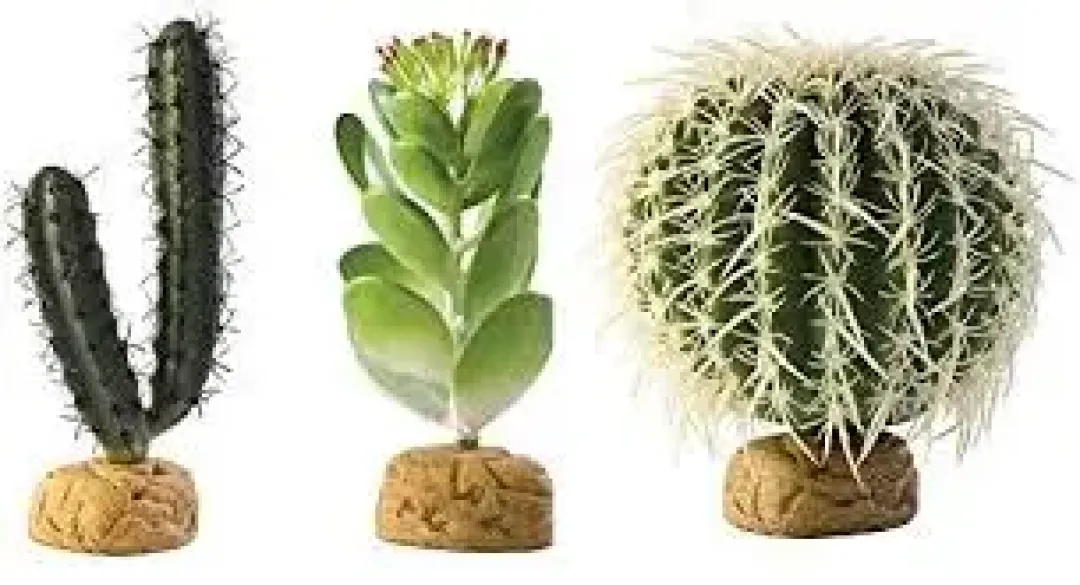 ExoTerra Exo Terra Finger Kaktus
