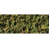ExoTerra Exo Terra Forest Moss 2 x 7 liter
