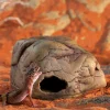 ExoTerra Exo Terra Gecko Hule medium