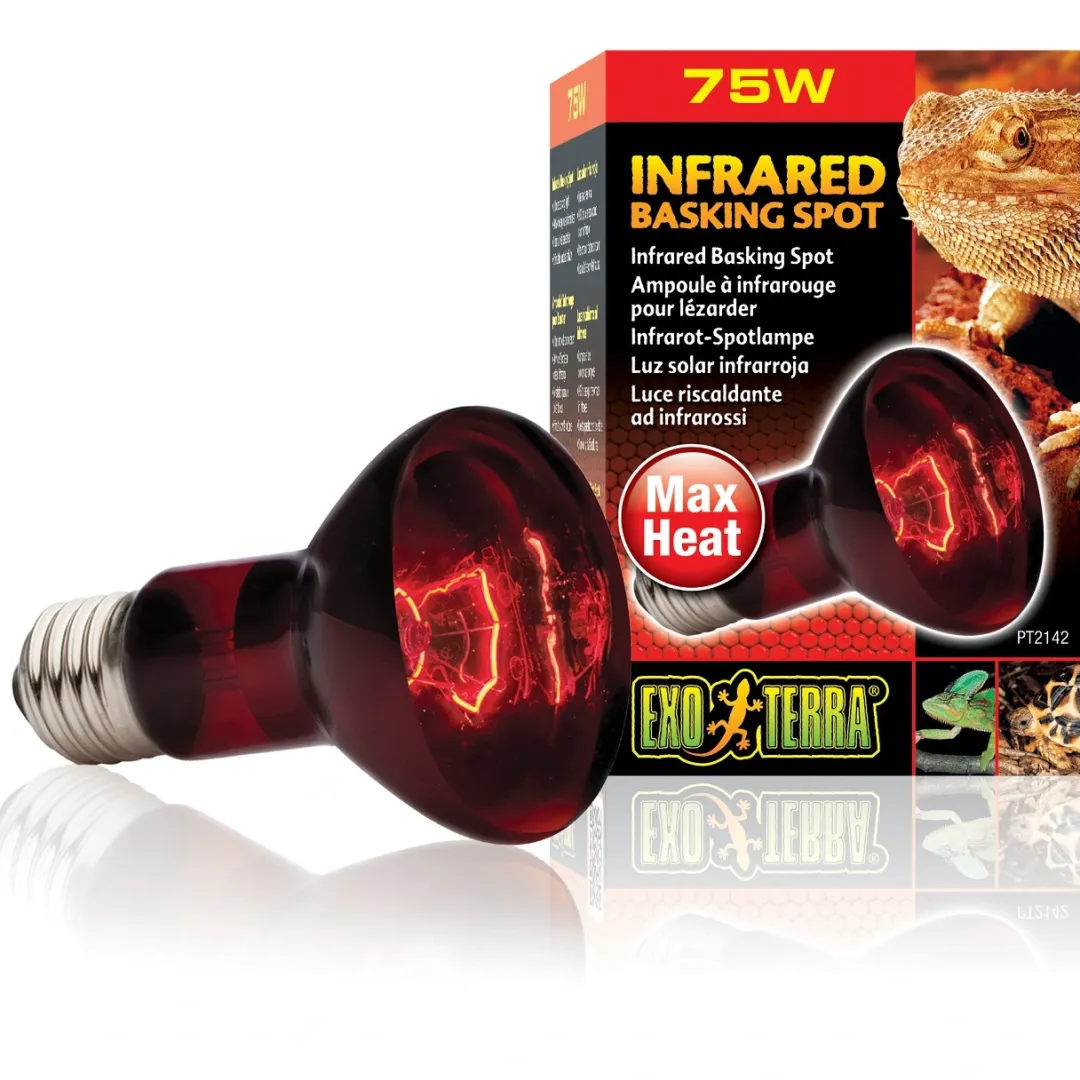 ExoTerra Exo Terra Heat Glo Infrarød spot 75 w