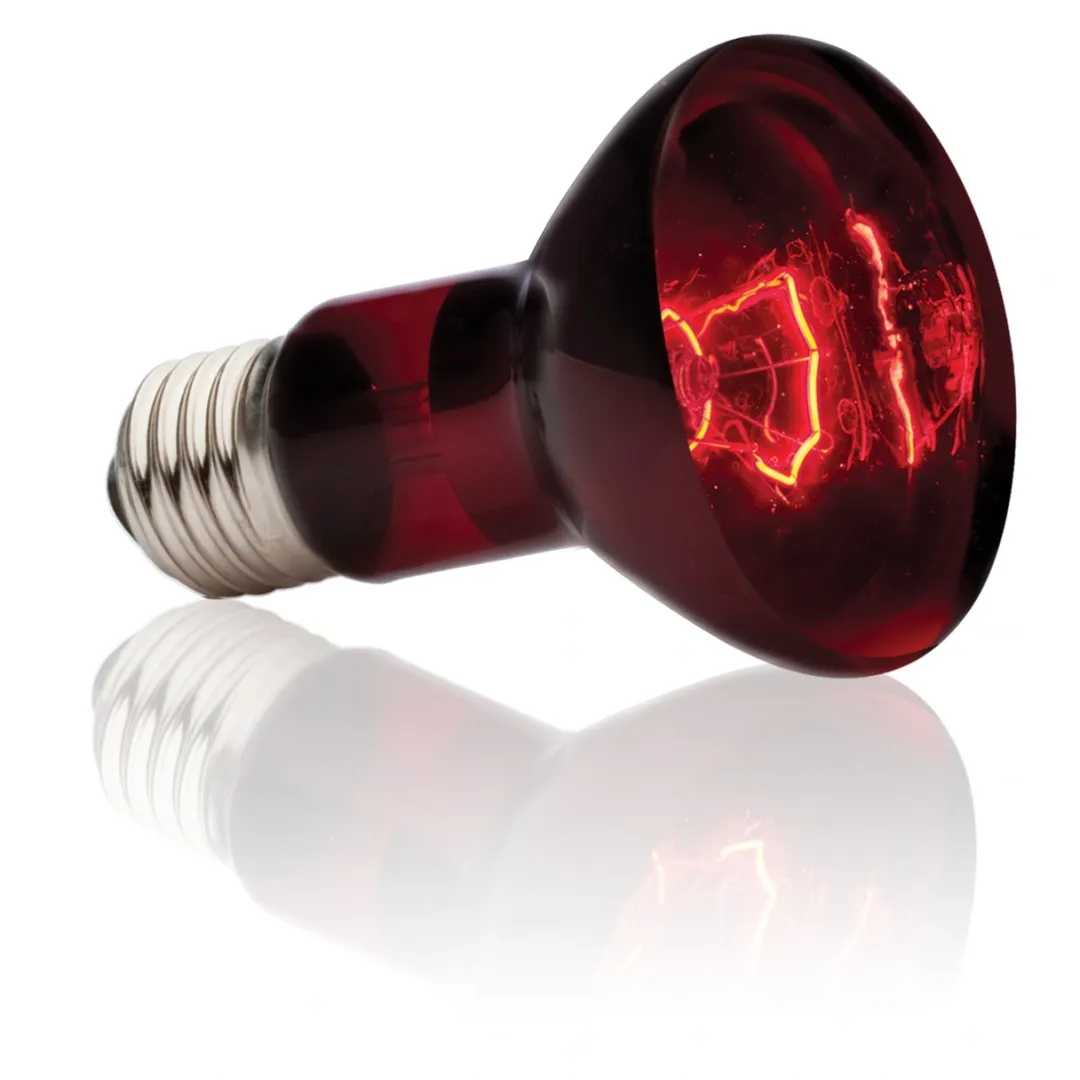 ExoTerra Exo Terra Heat Glo Infrarød spot 75 w