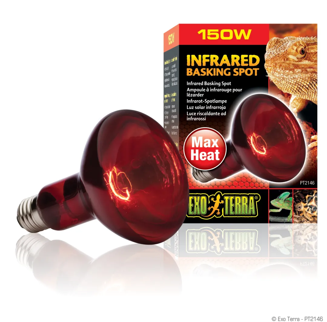 ExoTerra Exo Terra Heat Glo Infrarød spot 150 w