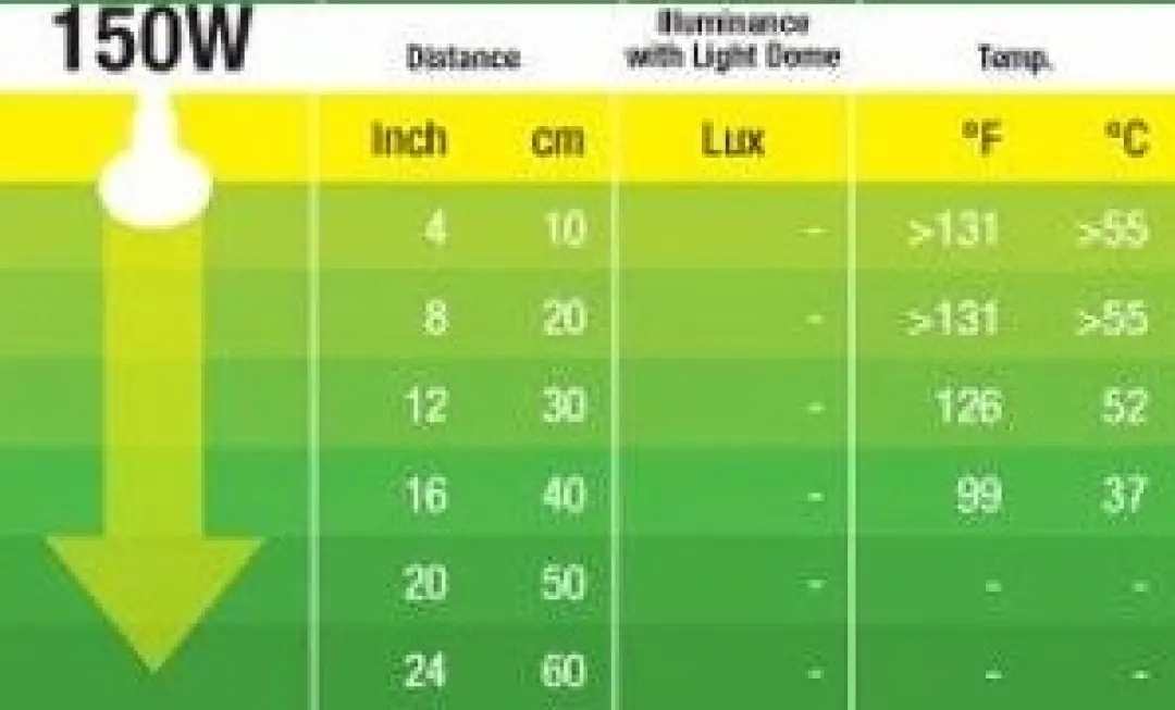 ExoTerra Exo Terra Heat Glo Infrarød spot 150 w