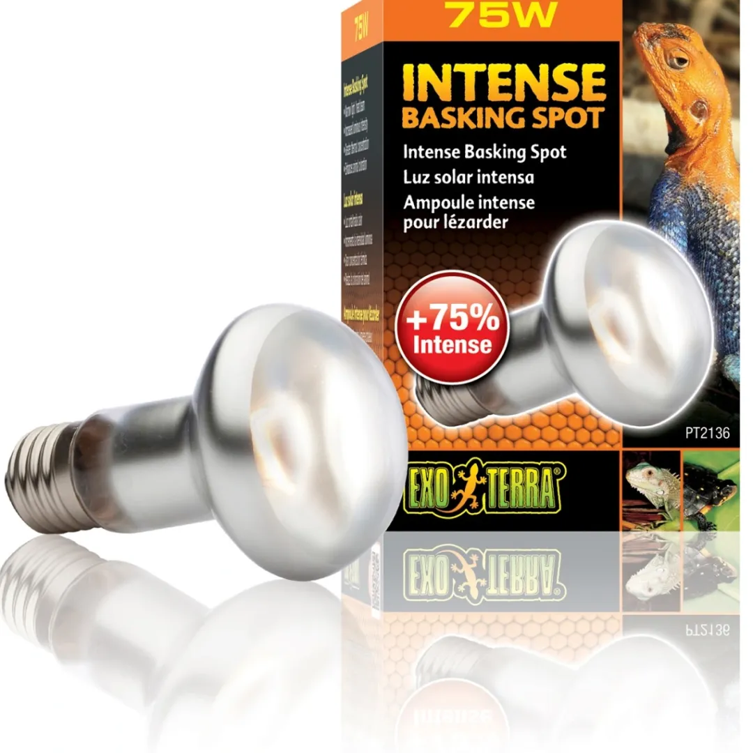 ExoTerra Exo Terra Intense Basking Spot 75 W - Effektiv UVA-varmespot til terrarier