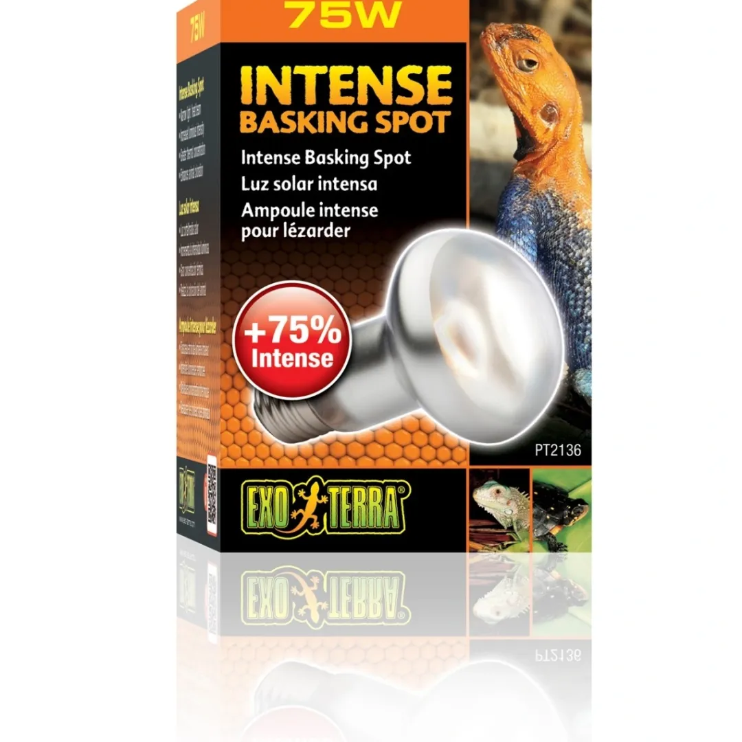 ExoTerra Exo Terra Intense Basking Spot 75 W - Effektiv UVA-varmespot til terrarier