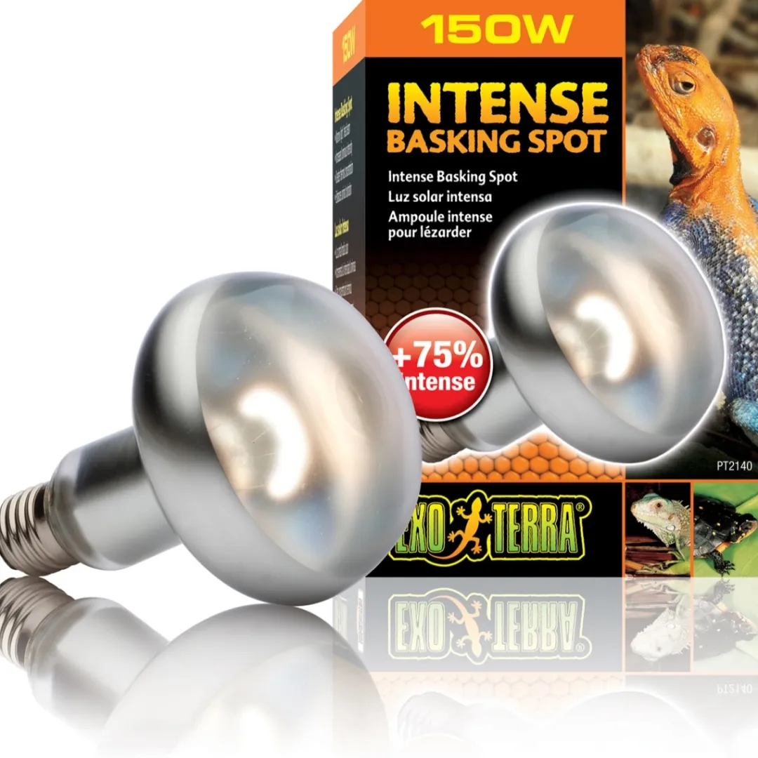 ExoTerra Exo Terra Intense Basking Spot 150 W - Effektiv UVA-varmespot til terrarier