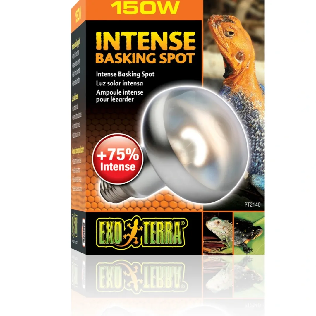 ExoTerra Exo Terra Intense Basking Spot 150 W - Effektiv UVA-varmespot til terrarier