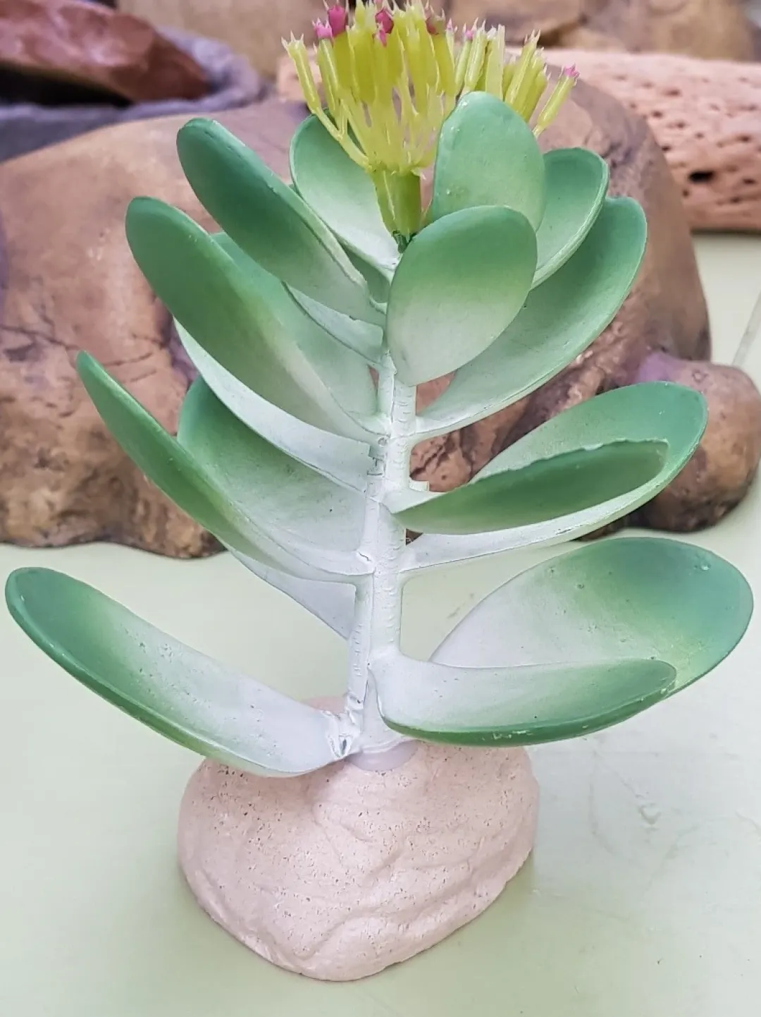 ExoTerra Exo Terra Jade kaktus