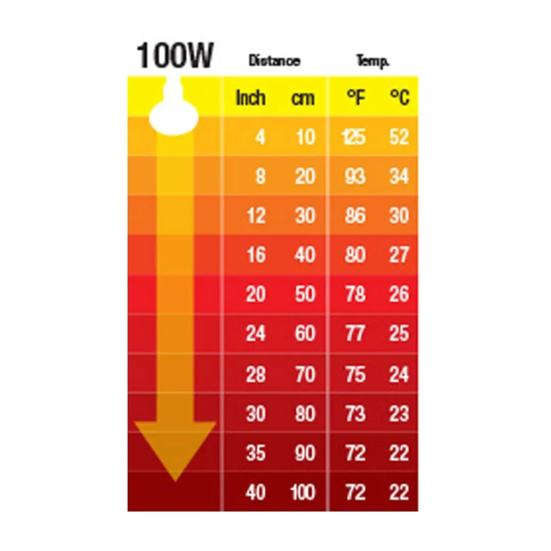 ExoTerra Exo Terra Kernevarmepære 100 w