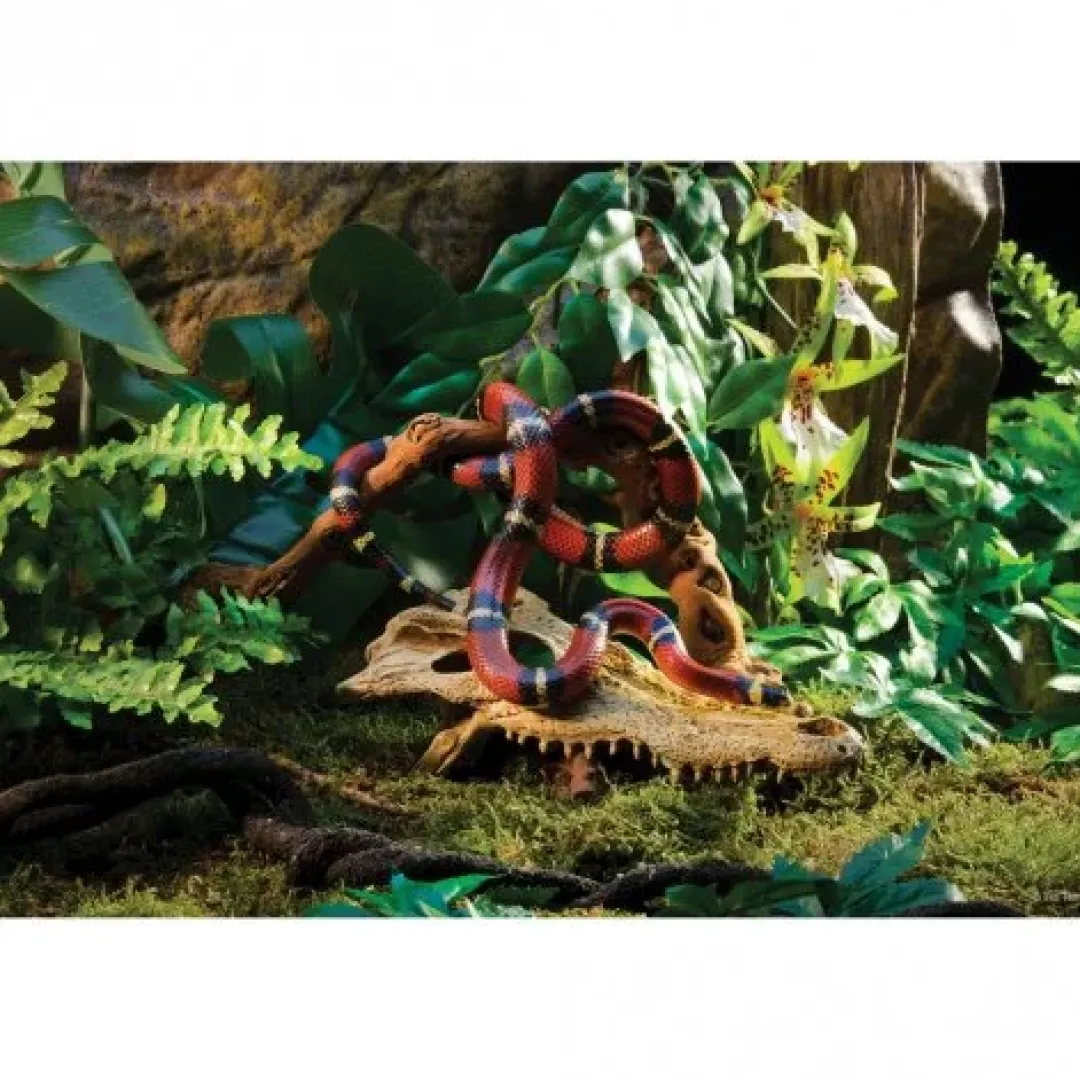 ExoTerra Exo Terra Krokodille kranie