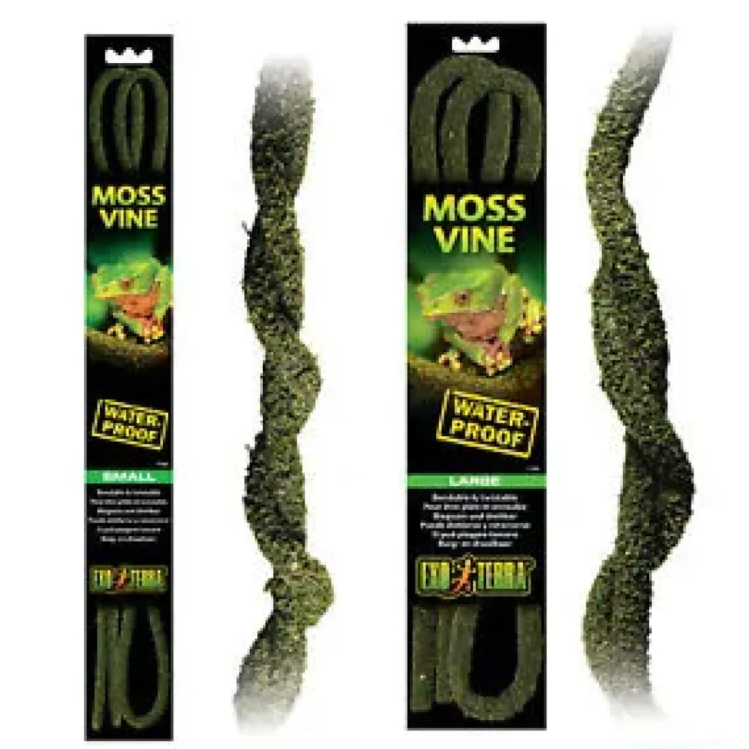 ExoTerra Exo Terra Lian med mos (lille)