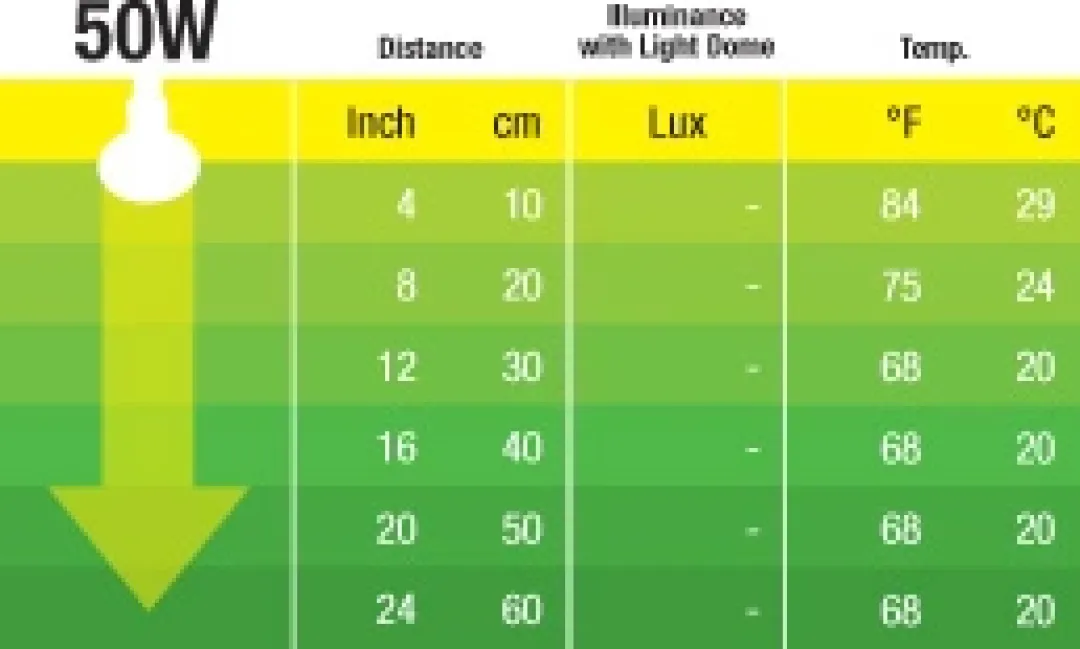 ExoTerra Exo Terra Night Glo 50 w
