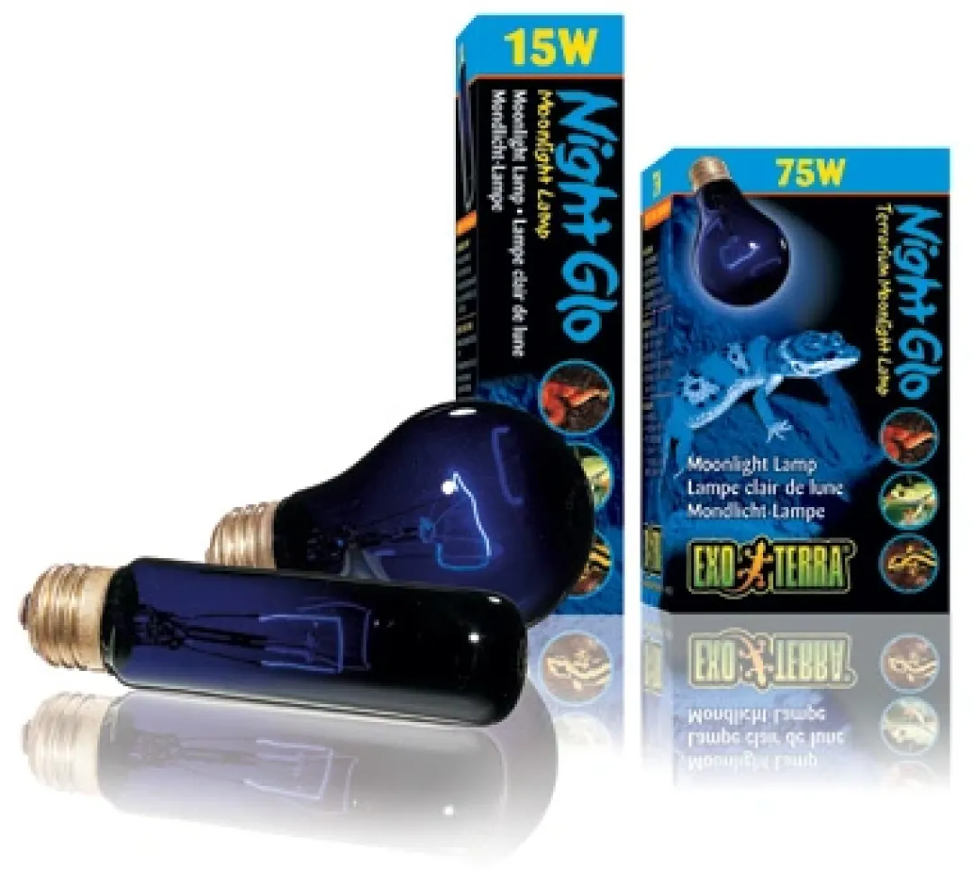 ExoTerra Exo Terra Night Glo 15 watt