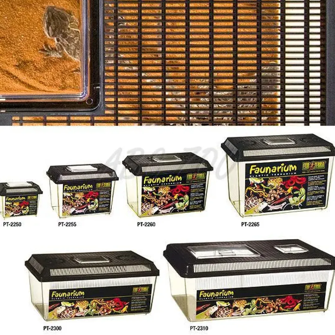ExoTerra Exo Terra Plastik terrarium stor (HPT2310)