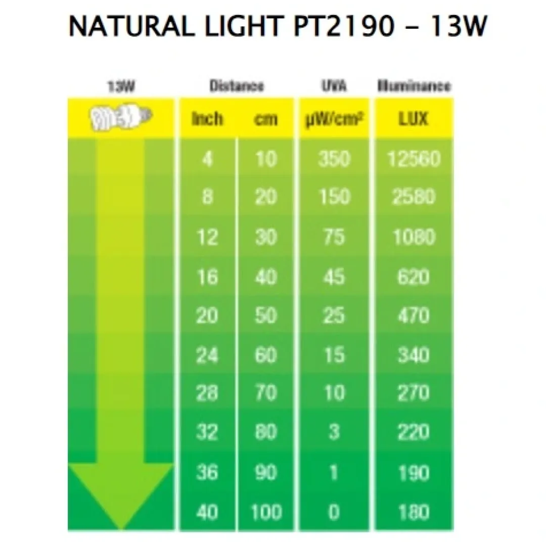 ExoTerra Exo Terra Repti Natural Light 13 w