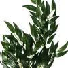 ExoTerra Exo Terra Ruscus lille
