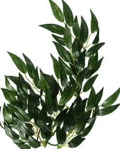 ExoTerra Exo Terra Ruscus medium
