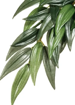 ExoTerra Exo Terra Ruscus medium
