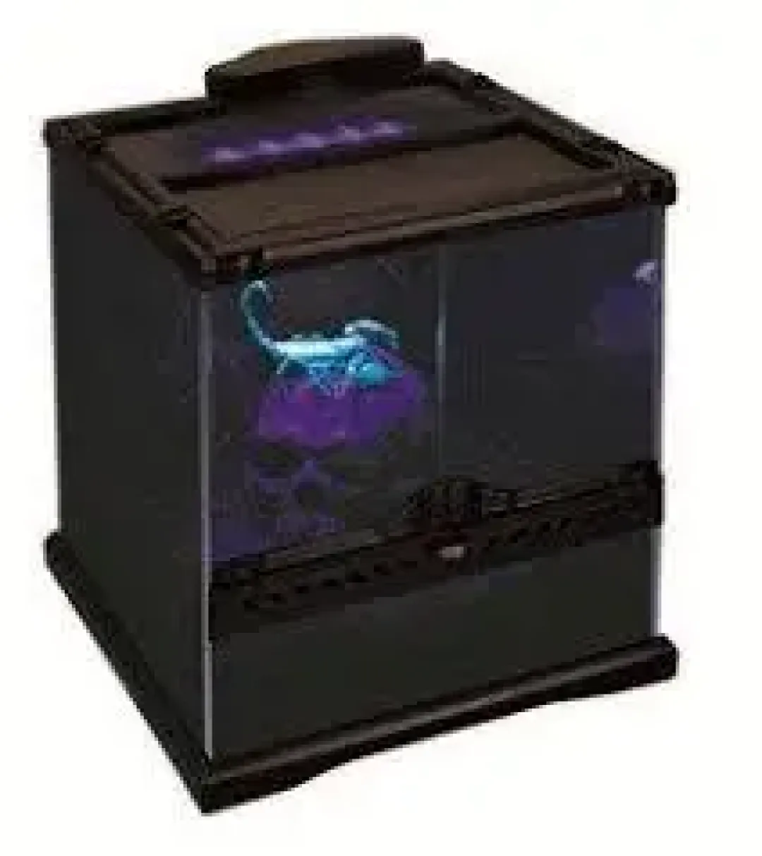 ExoTerra Exo Terra Scorpion Light LED