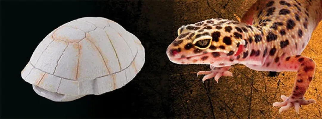 ExoTerra Exo Terra Skildpaddeskjold lille