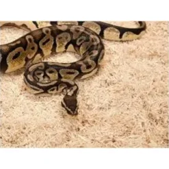 ExoTerra Exo Terra Snake Bedding 8,8 L