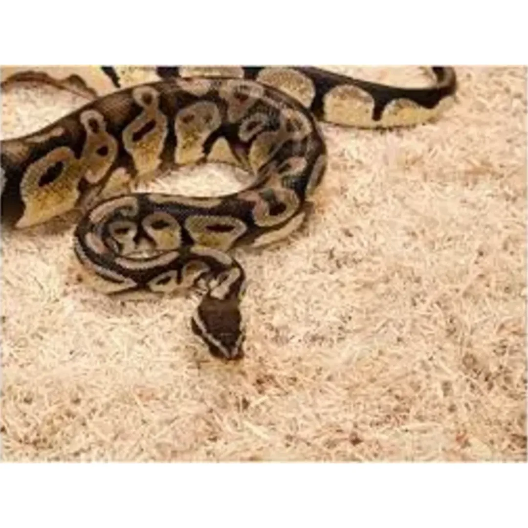 ExoTerra Exo Terra Snake Bedding 8,8 L