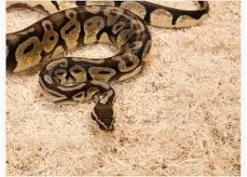 ExoTerra Exo Terra Snake Bedding 26,4 L