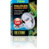ExoTerra Exo Terra Sun Glo Halogen 75 w