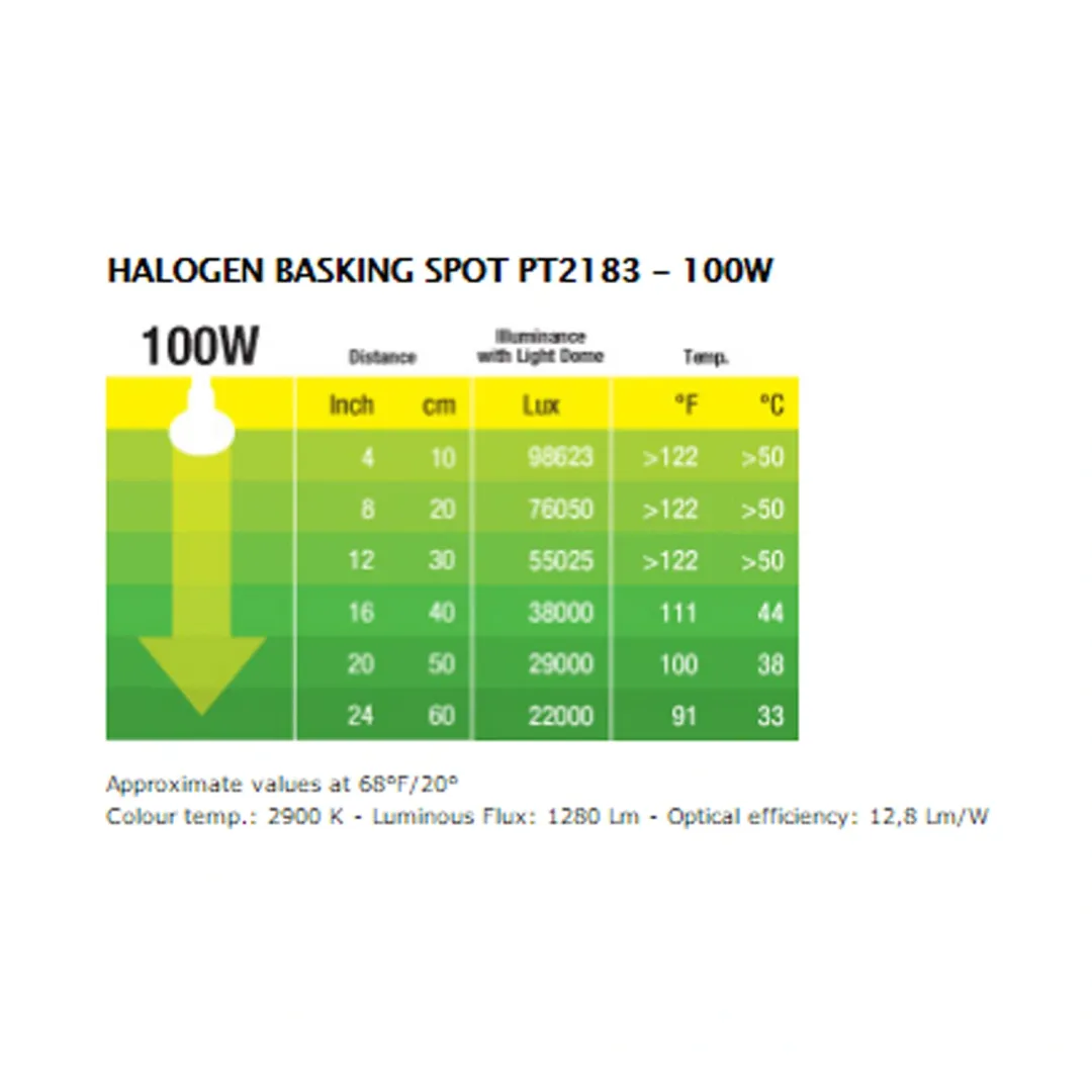 ExoTerra Exo Terra Sun Glo Halogen 100 w