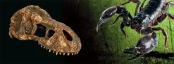 ExoTerra Exo Terra T-Rex kranie lille